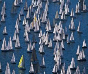 Puzzle de Regata barcos de vela