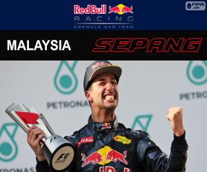 Puzzle de Ricciardo, GP Malasia 2016
