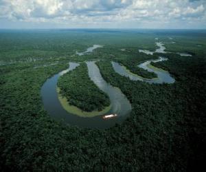 Puzzle de Rio Amazonas, en el complejo de conservación de la Amazonia Central, Brasil