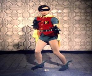Puzzle de Robin