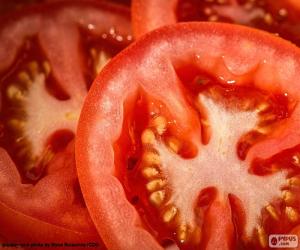 Puzzle de Rodajas de tomate