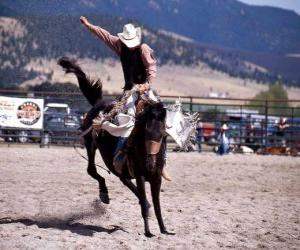 Puzzle de Rodeo - Jinete en la prueba del caballo con montura, montando un caballo salvaje
