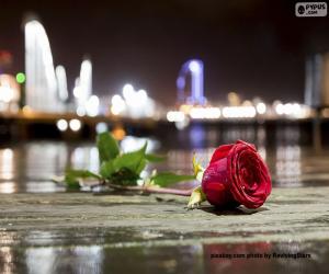 Puzzle de Rosa del amor