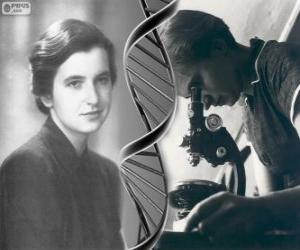 Puzzle de Rosalind Franklin (1920 - 1958), pionera en la investigación del ADN