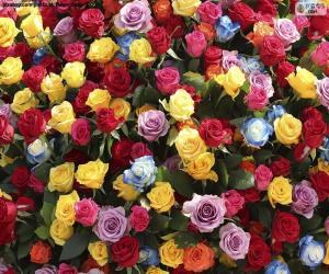 puzzles de flores y plantas