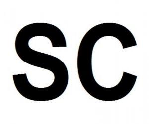 Puzzle de Rótulo SC indica que el coche de seguridad o Safety Car está en la pista