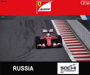 Puzzle de S. Vettel G.P de Rusia 2015