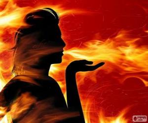 Puzzle de Salamandras, hadas del fuego