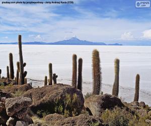Puzzle de Salar de Uyuni, Bolivia