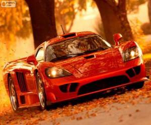 Puzzle de Saleen S7 Twin Turbo
