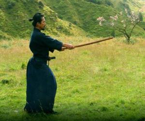 Puzzle de Samurái entrenando