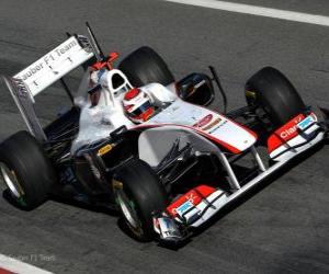 Puzzle de Sauber C30 - 2011 -