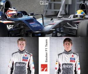 Puzzle de Sauber F1 Team 2013