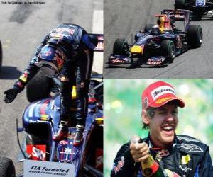 Puzzle de Sebastian Vettel celebra su victoria en el Gran Premio de Brasil (2010)