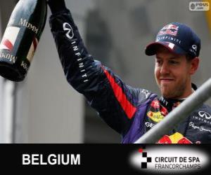 Puzzle de Sebastian Vettel celebra su victoria en el Gran Premio de Belgica 2013