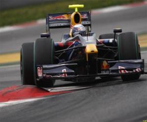 Puzzle de Sebastian Vettel pilotando su F1