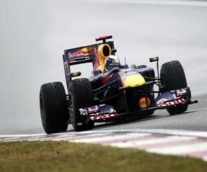 Puzzle de Sebastian Vettel - Red Bull - Shanghai 2010