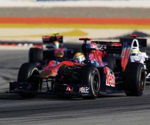 Puzzle de Sebastien Buemi - Toro Rosso - Bahrain 2010