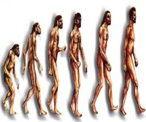 Puzzle de Secuencia de la evolución humana desde el australopithecus Lucy hasta el hombre moderno pasando entre otros por los hombres 