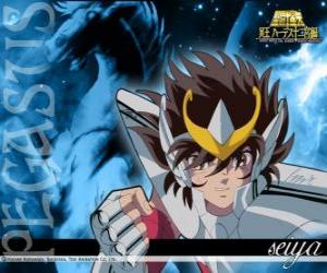 Puzzle de Seiya de Pegaso