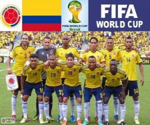 Puzzle de Selección de Colombia, Grupo C, Brasil 2014