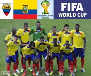 Puzzle de Selección de Ecuador, Grupo E, Brasil 2014