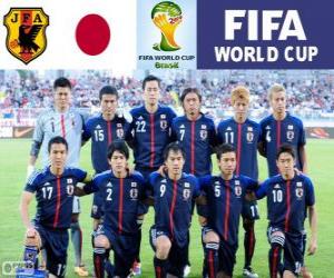 Puzzle de Selección de Japón, Grupo C, Brasil 2014