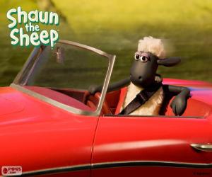 Puzzle de Shaun conduciendo un coche