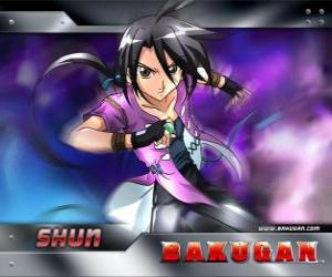 Puzzle de Shun Kamazi, el mejor amigo de Dan es un chico fuerte y solitario 