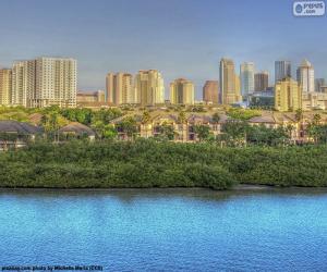 Puzzle de Tampa, Estados Unidos