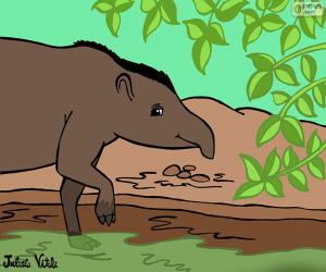 Puzzle de Tapir, de Julieta Vitali