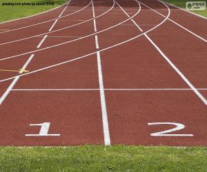 Puzzle de Tartan Track