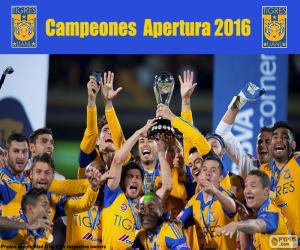Puzzle de Tigres UANL, Apertura 2016