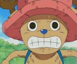 Puzzle de Tony Tony Chopper es un médico experto que se transforma en una criatura antropomórfica