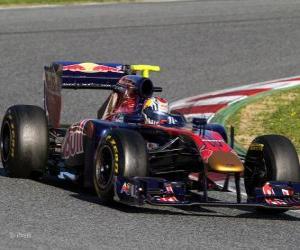 Puzzle de Toro Rosso STR6 - 2011 -