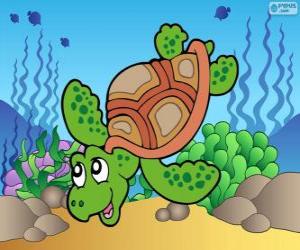 Puzzle de Tortuga marina