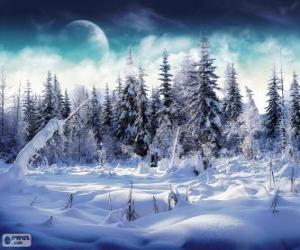 Puzzle de Un Bosque nevado