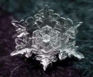 Puzzle de Un pequeño cristal de hielo que forma los copos de nieve