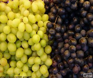 Puzzle de Uvas