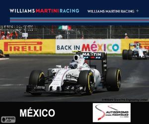 Puzzle de V. Bottas G.P. México 2015