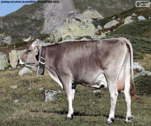Puzzle de Vaca en alta montaña