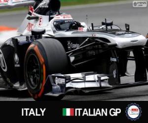 Puzzle de Valtteri Bottas - Williams - Monza, 2013