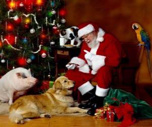 Puzzle de Varios animales con Papá Noel