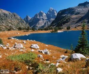 Puzzle de Verano en alta montaña