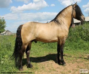 Puzzle de Viatka originario de Rusia