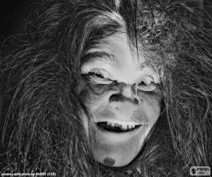 Puzzle de Vieja bruja