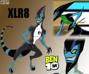 Puzzle de XLR8, Ben 10