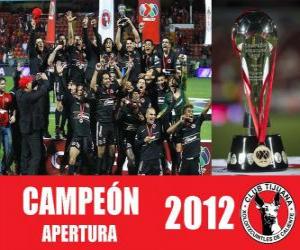 Puzzle de Xolos de Tijuana campeón apertura 2012, México