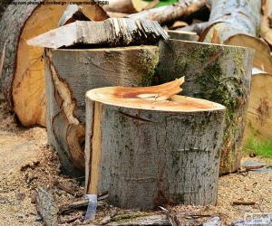 Puzzle de Árbol cortado