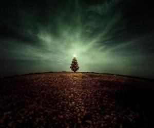 Puzzle de Árbol de Navidad en el Campo